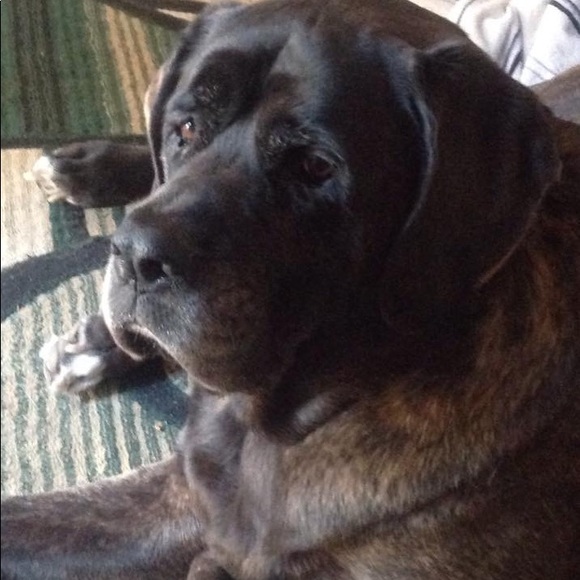 Meet your Posher, Jan - Picture 1 of 7